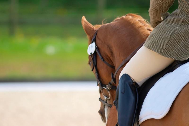 Equestrian rider on brown horse